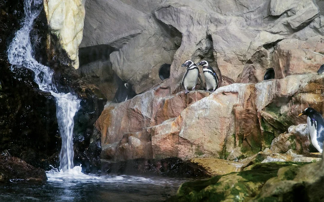 Tickets to Genoa Aquarium with Lunch Image 5