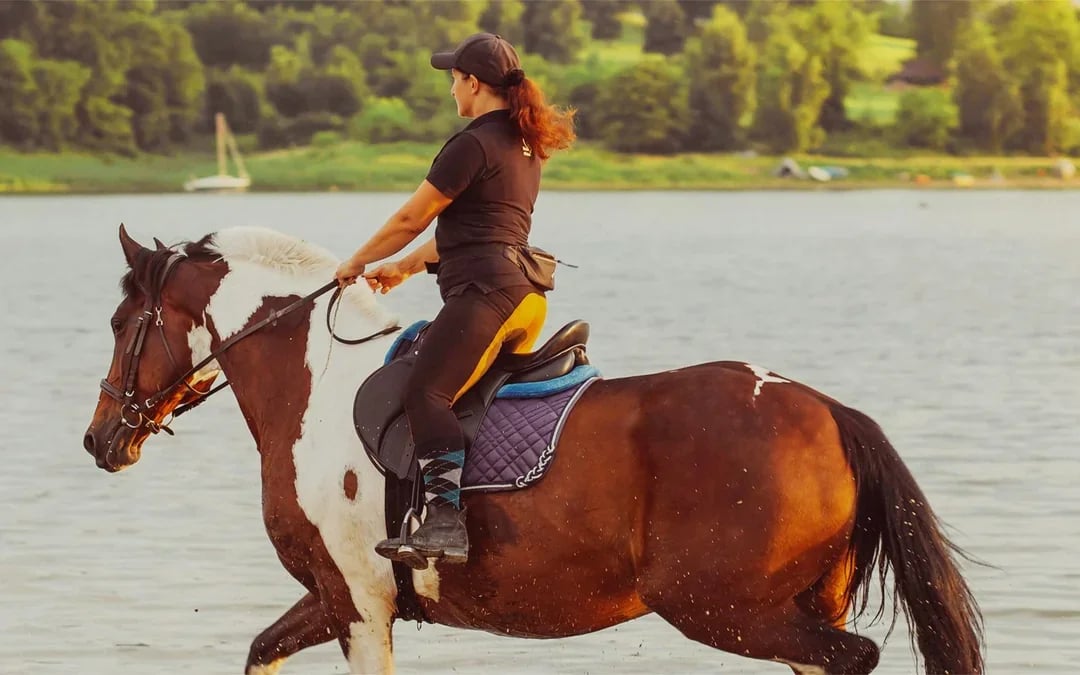 Tickets to Half-Day Horse Riding Experience with Private Transfers Image 1