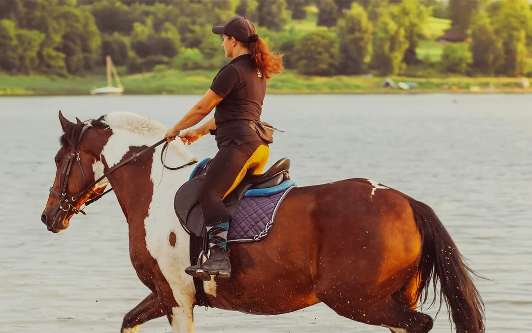 Tickets to Half-Day Horse Riding Experience with Private Transfers Image 1