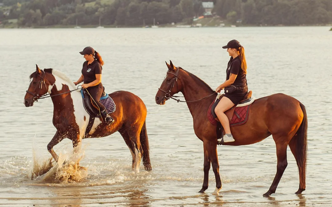Tickets to Half-Day Horse Riding Experience with Private Transfers Image 3