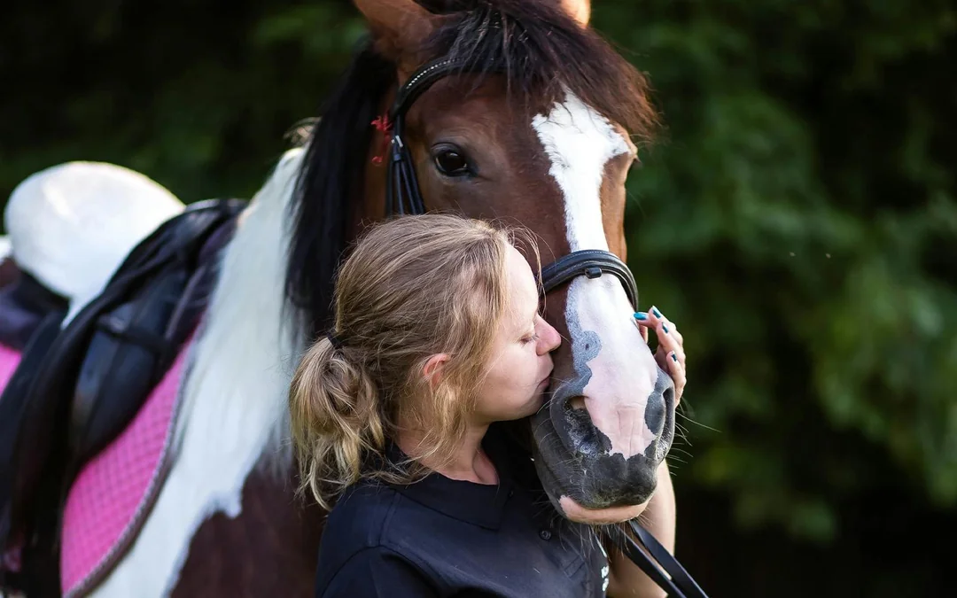 Tickets to Half-Day Horse Riding Experience with Private Transfers Image 4