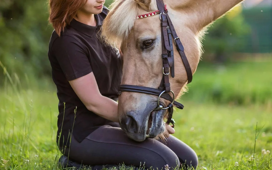 Tickets to Half-Day Horse Riding Experience with Private Transfers Image 5