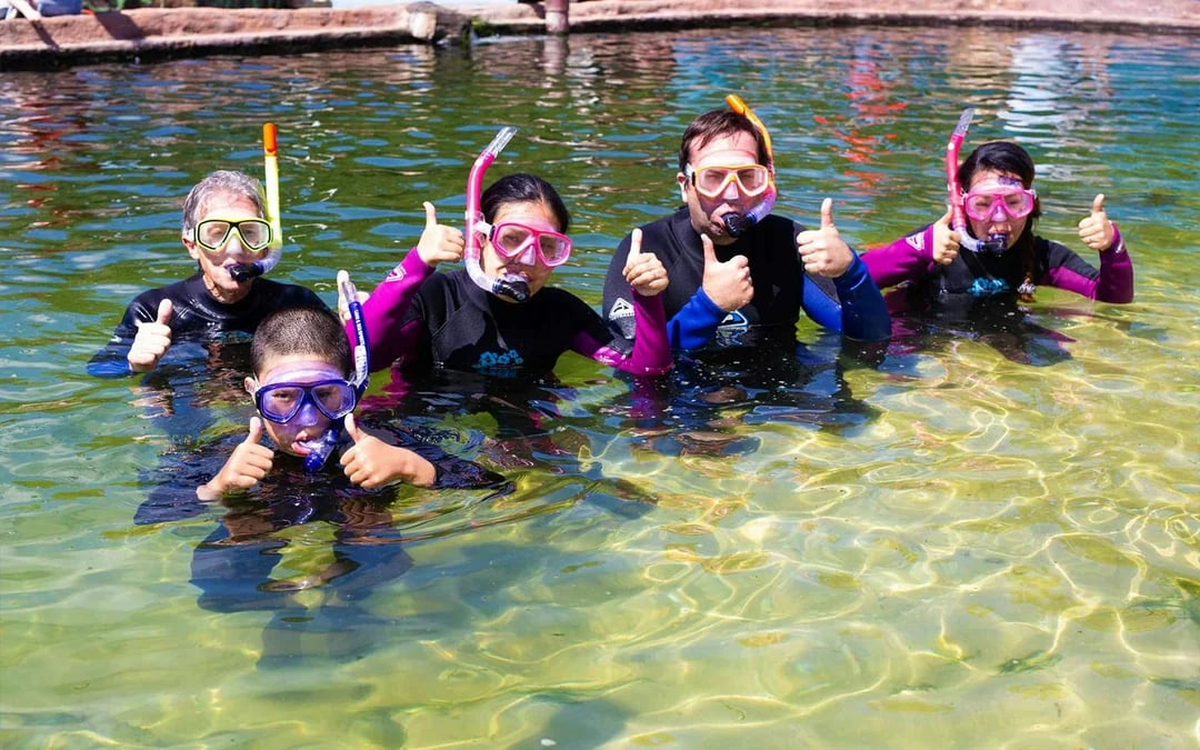 Tickets to Irukandji Shark & Ray Encounters with Reef Shark Snorkel Experience Image 1