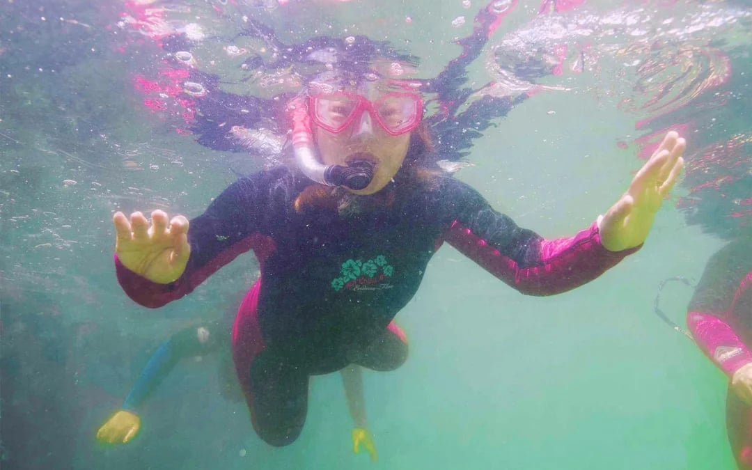 Tickets to Irukandji Shark & Ray Encounters with Reef Shark Snorkel Experience Image 2
