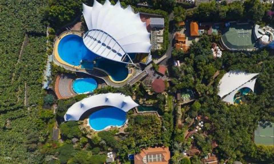 Tickets to Loro Parque in Tenerife