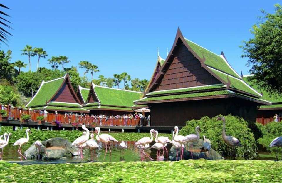 Tickets to Loro Parque in Tenerife