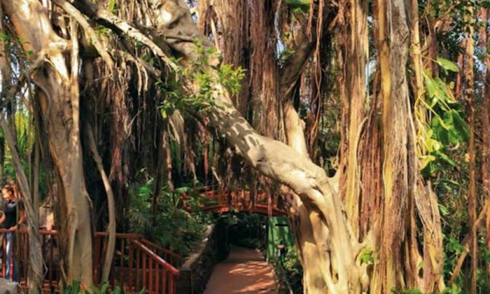Tickets to Loro Parque in Tenerife