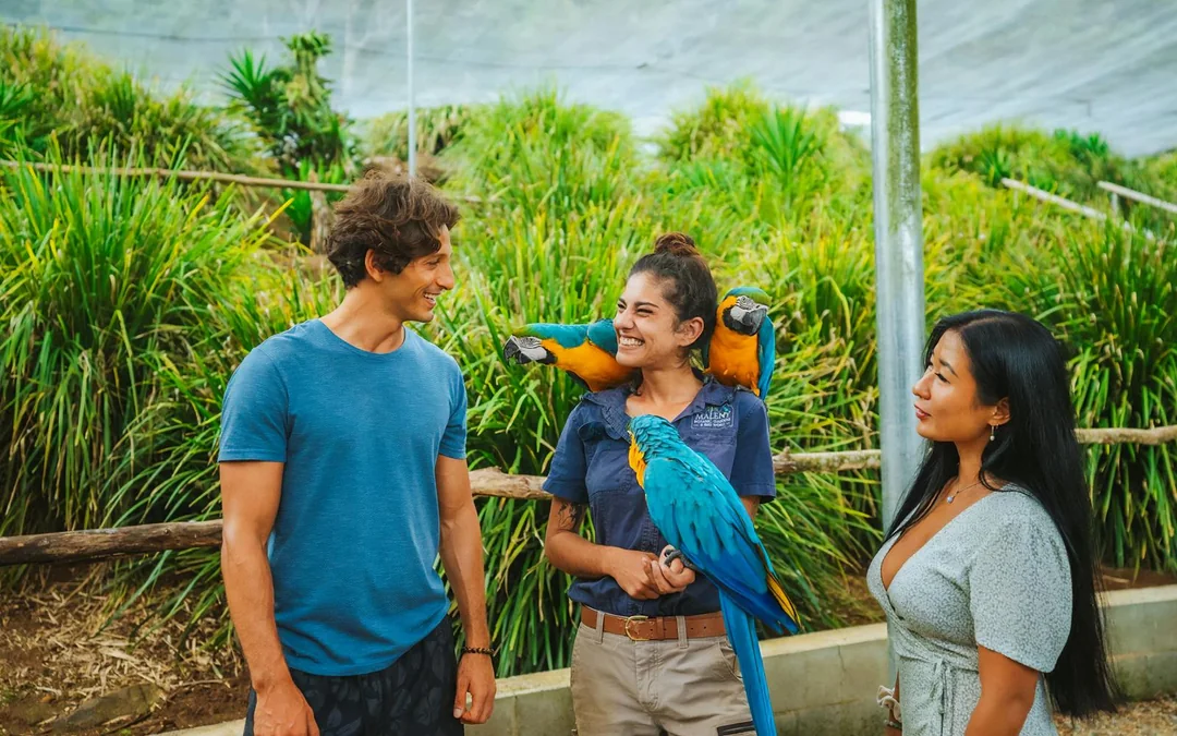 Tickets to Maleny Botanic Gardens and Bird World Image 2