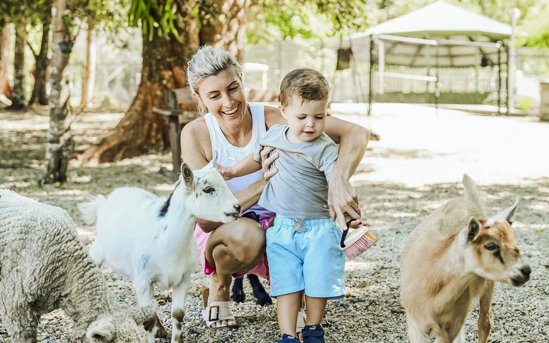 Tickets to Maleny Botanic Gardens and Bird World Image 3