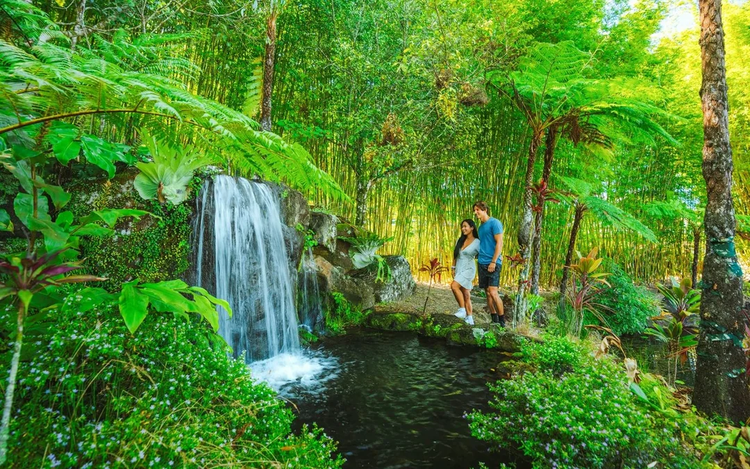 Tickets to Maleny Botanic Gardens and Bird World Image 4