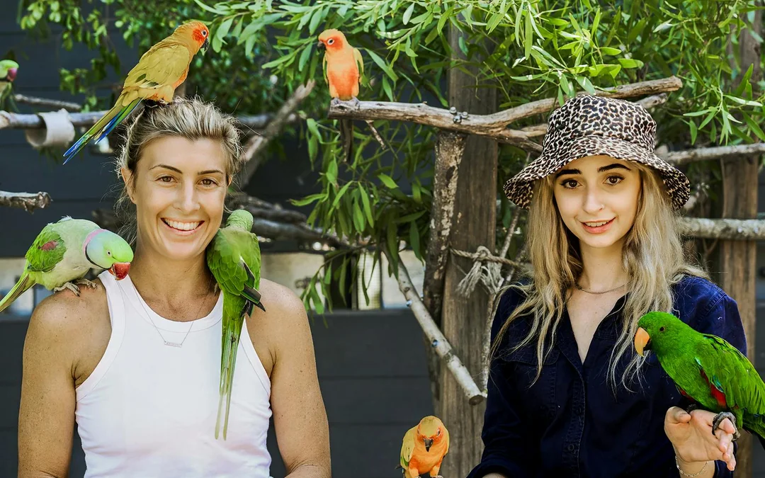 Tickets to Maleny Botanic Gardens and Bird World Image 5