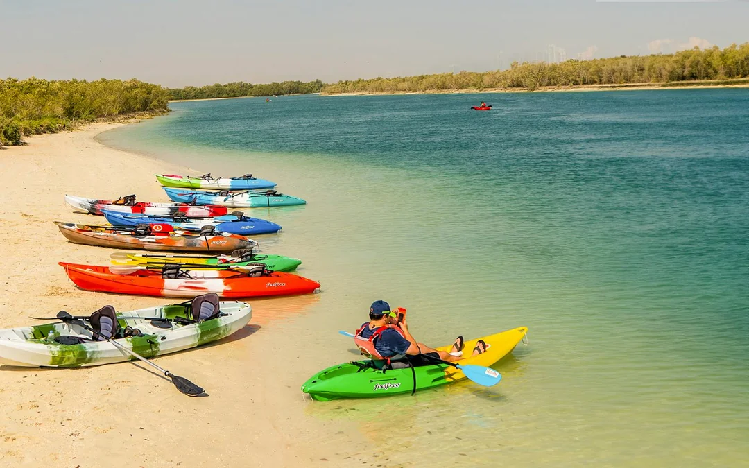 Tickets to Mangrove Kayaking in Abu Dhabi Image 2