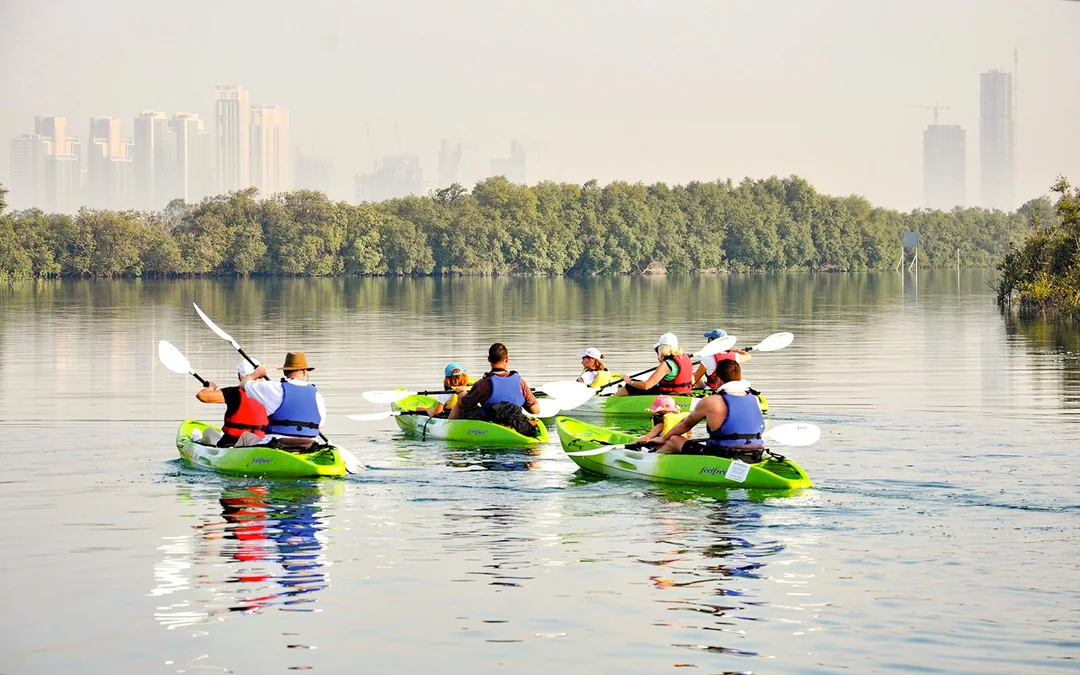 Tickets to Mangrove Kayaking in Abu Dhabi Image 3