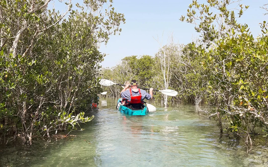 Tickets to Mangrove Kayaking in Abu Dhabi Image 5