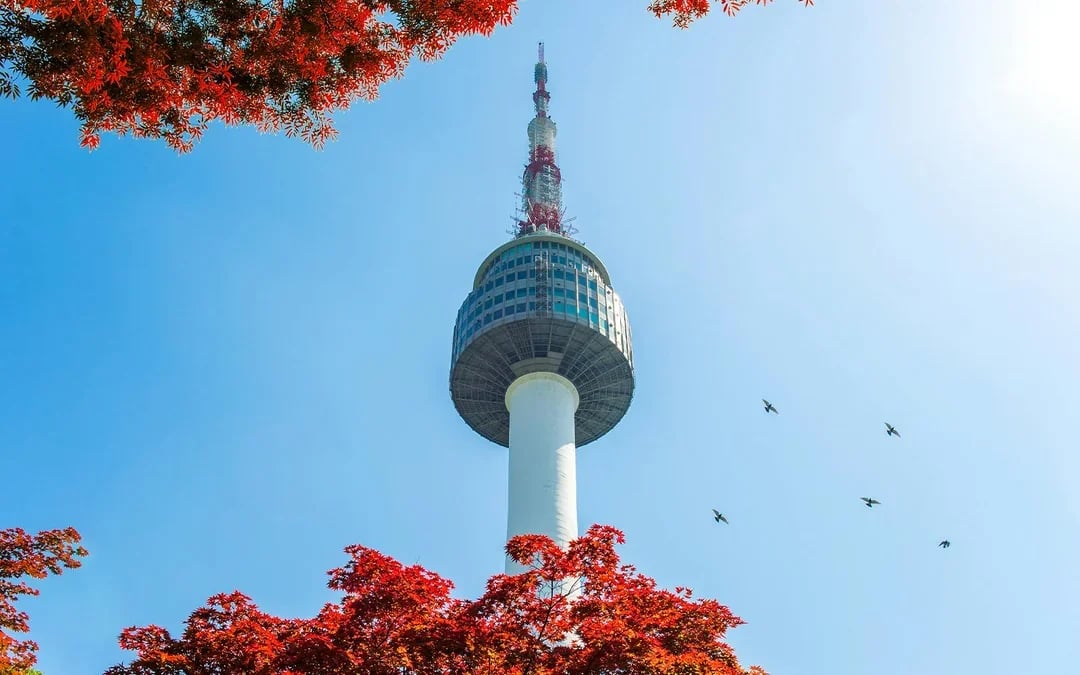Tickets to N Seoul Tower Observatory Image 1