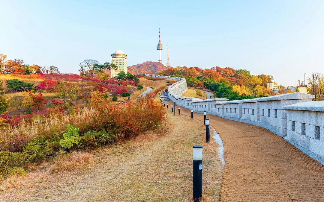 Tickets to N Seoul Tower Observatory Image 4