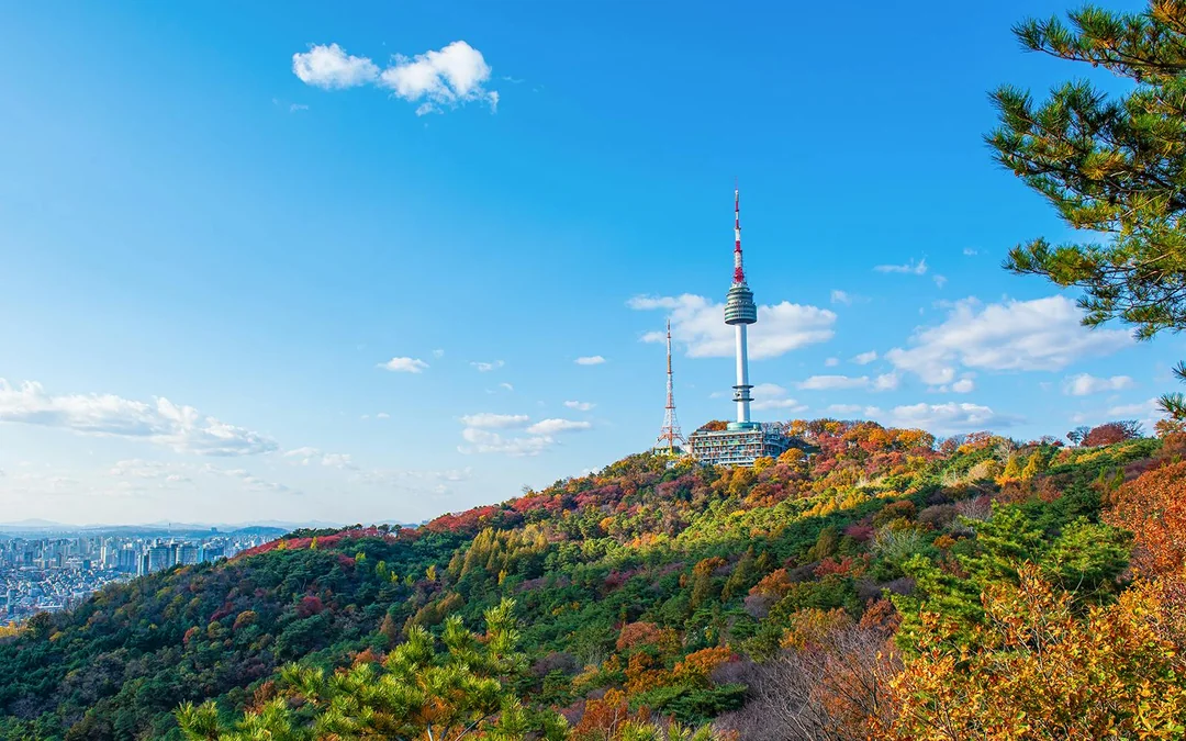 Tickets to N Seoul Tower Observatory Image 6