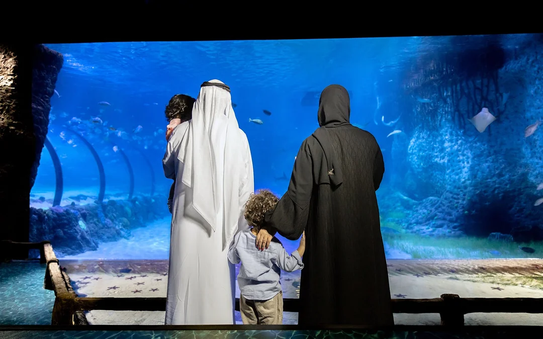 Tickets to National Aquarium Abu Dhabi with Bu Tinah Dhow Experience Image 1