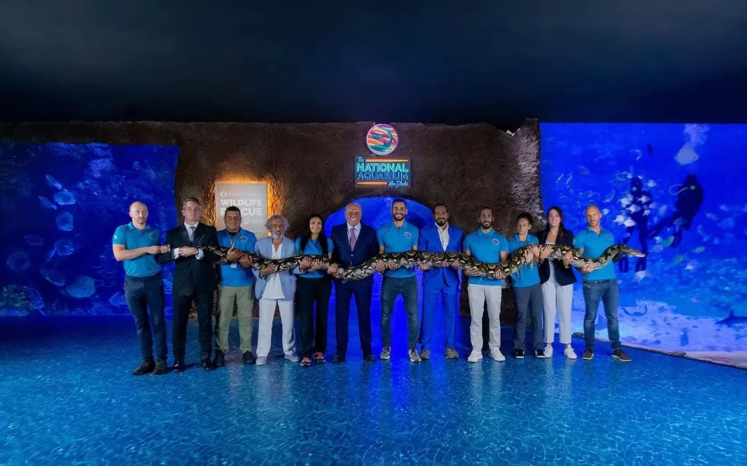 Tickets to National Aquarium Abu Dhabi with Bu Tinah Dhow Experience Image 8