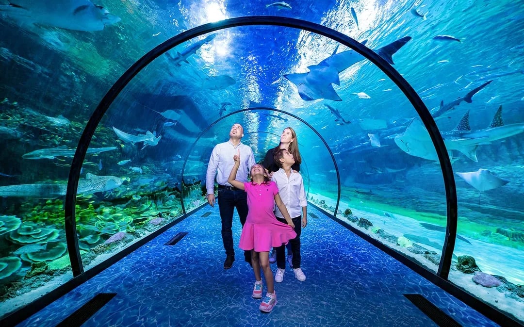 Tickets to National Aquarium Abu Dhabi with Bu Tinah Dhow Experience Image 9