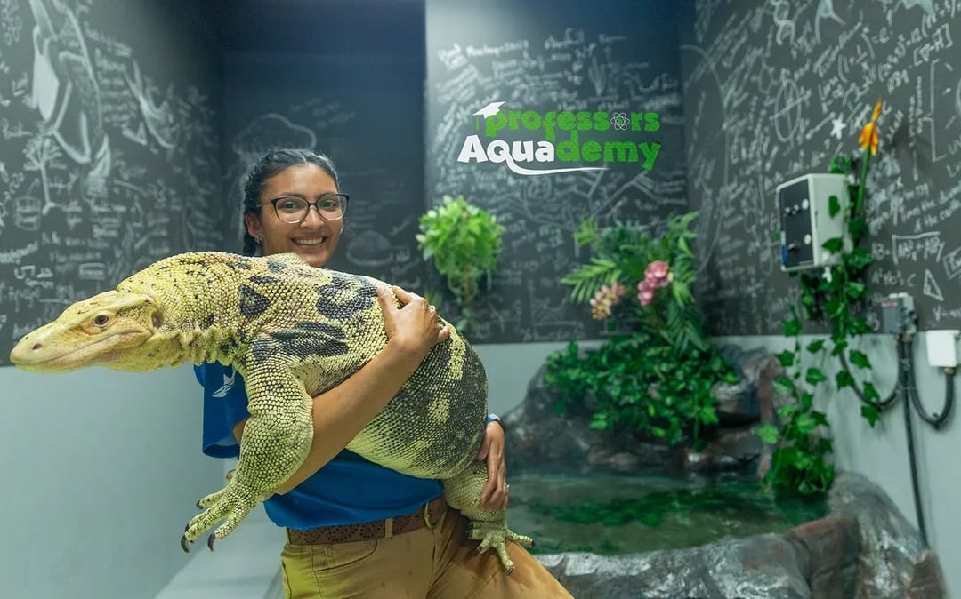 Tickets to National Aquarium Abu Dhabi with Bu Tinah Dhow Experience Image 10