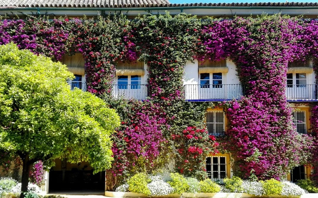 Tickets to Palacio de las Dueñas with Audio Guide Image 6