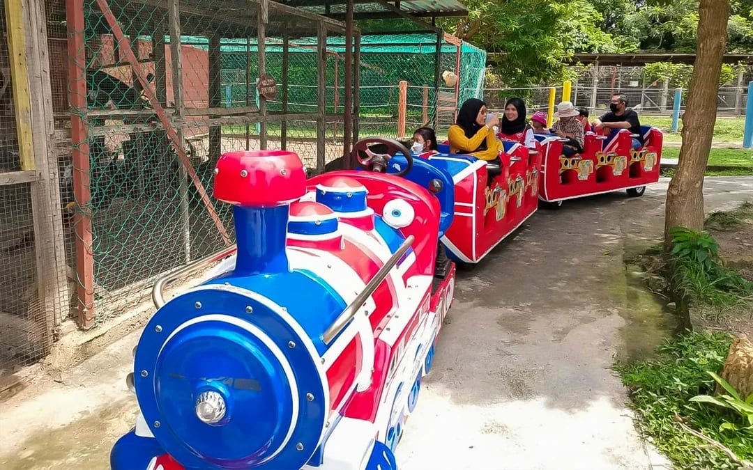 Tickets to PD Ostrich Show Farm Image 3