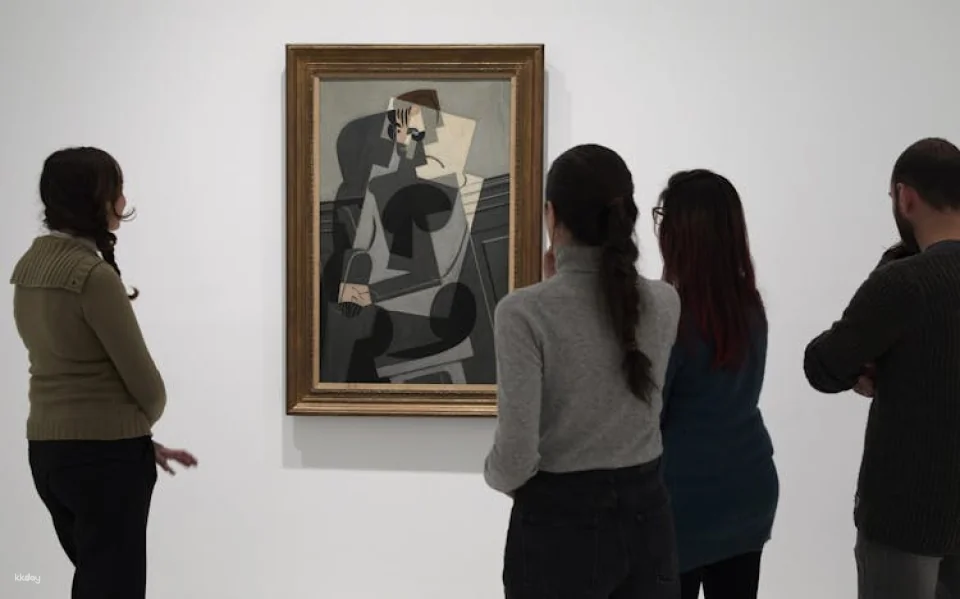 Tickets to Reina Sofía Museum Madrid’s iconic modern art museum