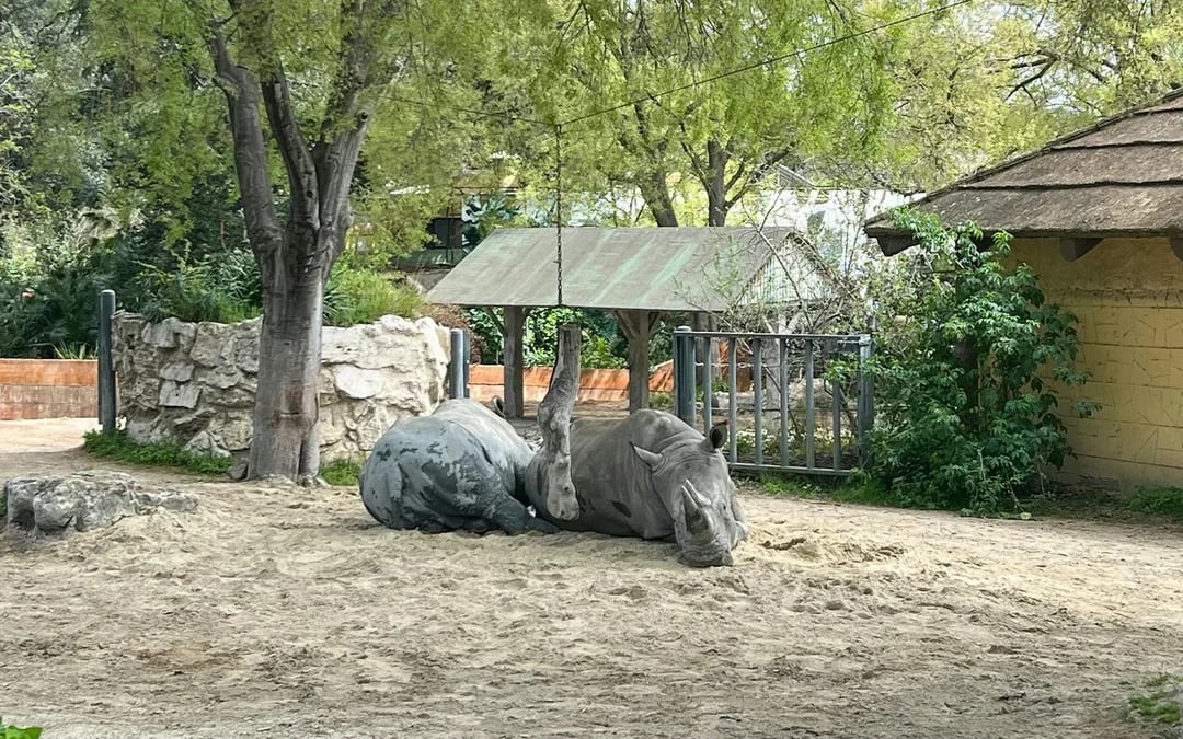 Tickets to Rome Bioparco Image 10