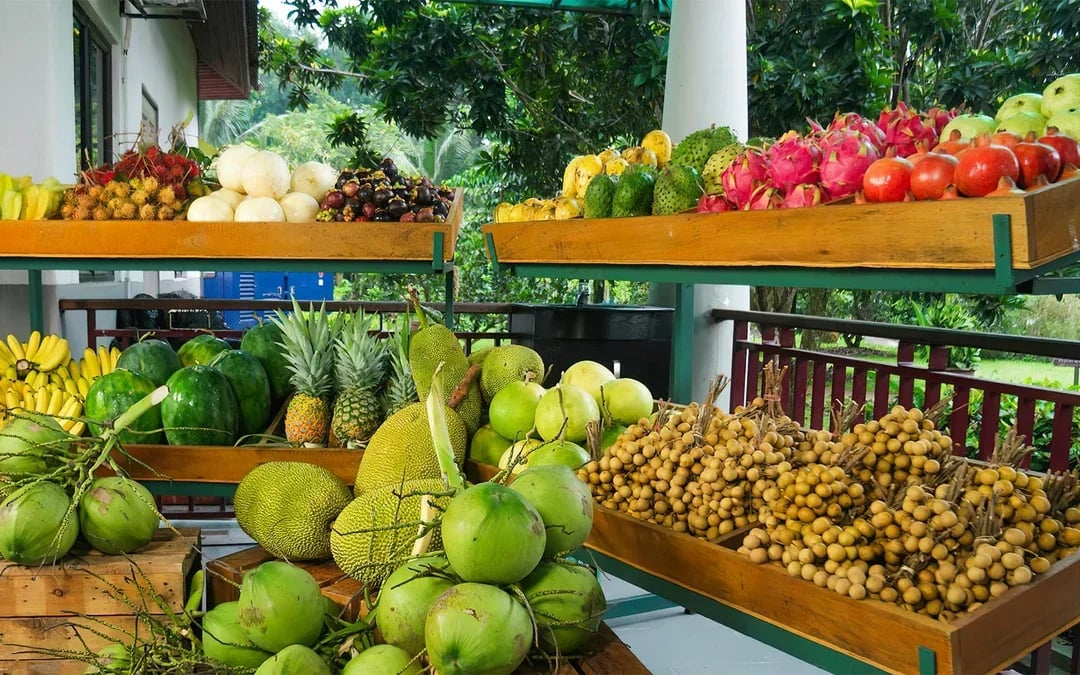 Tickets to Selangor Fruit Valley Image 3