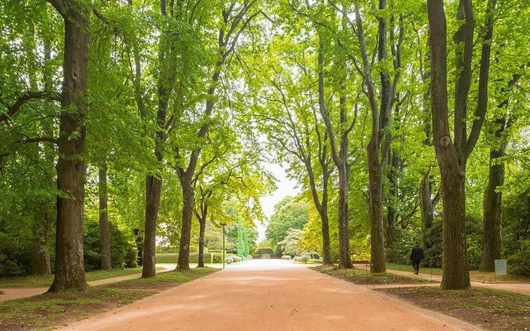 Tickets to Serralves Foundation Image 2
