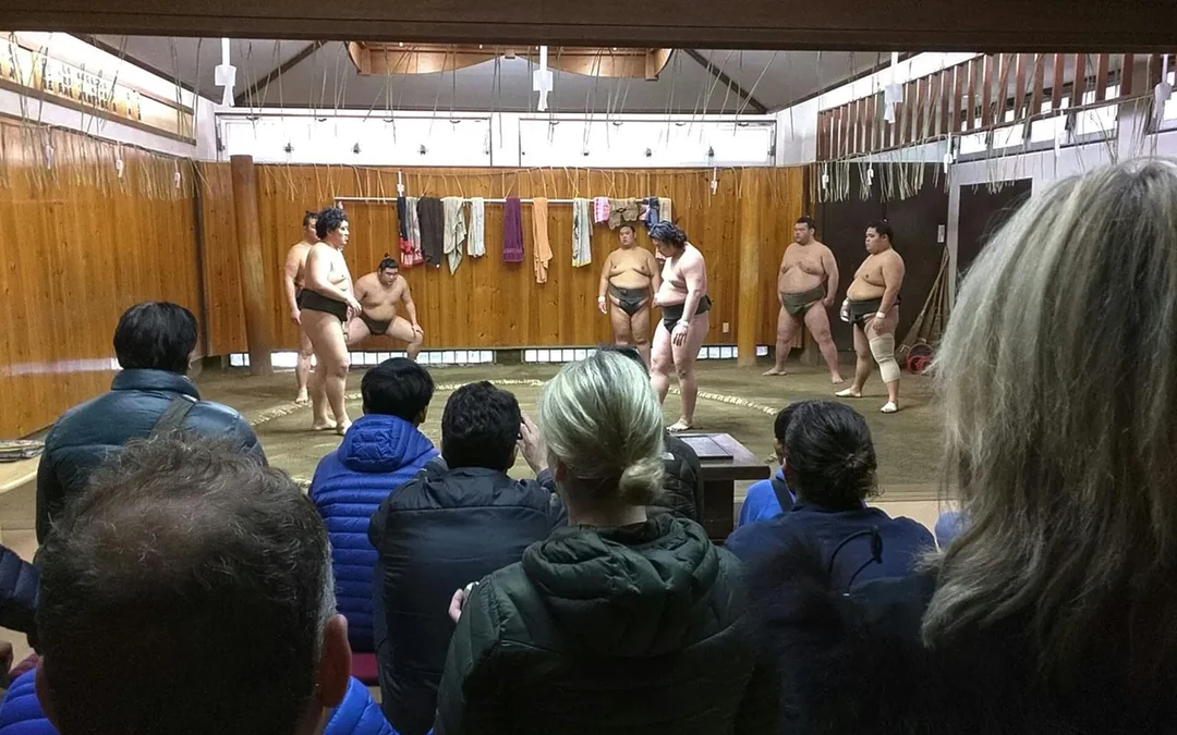 Tickets to Sumo Morning Training in Tokyo Image 3