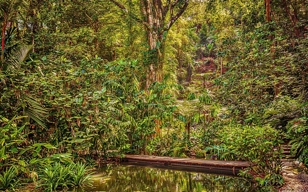 Tickets to Tropical Spice Garden Penang Image 1