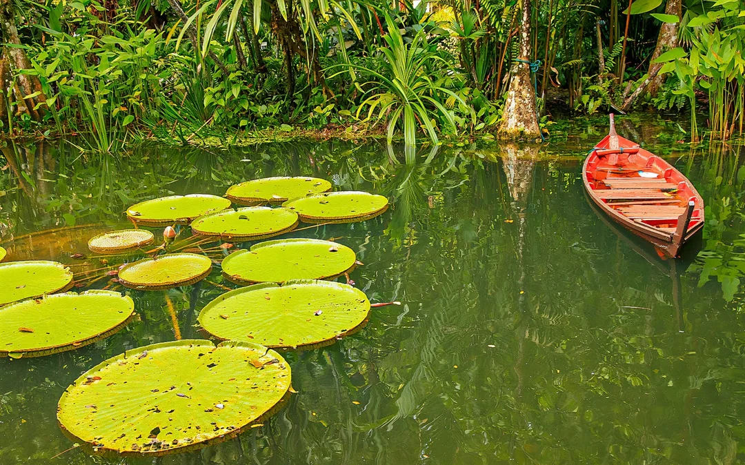 Tickets to Tropical Spice Garden Penang Image 3