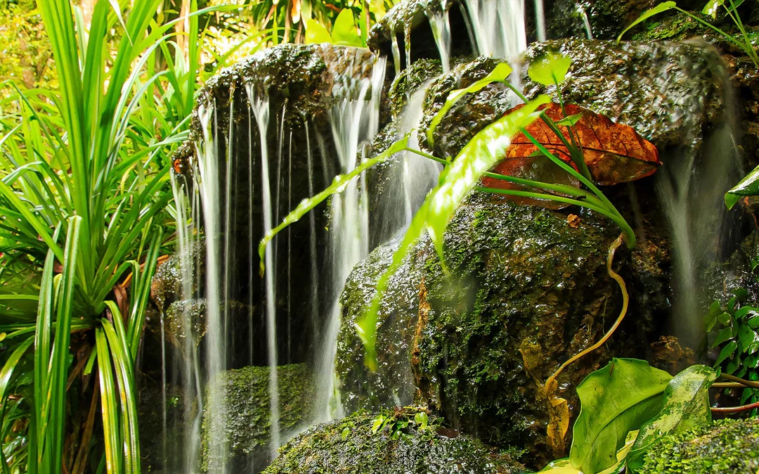 Tickets to Tropical Spice Garden Penang Image 4