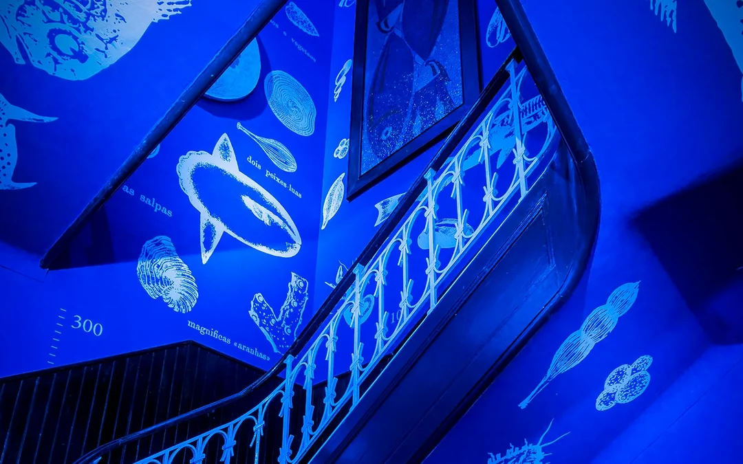 Tickets to Vasco da Gama Aquarium in Lisbon Image 5