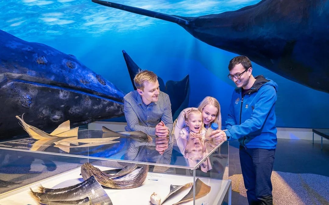 Tickets to Whales of Iceland Museum Image 5