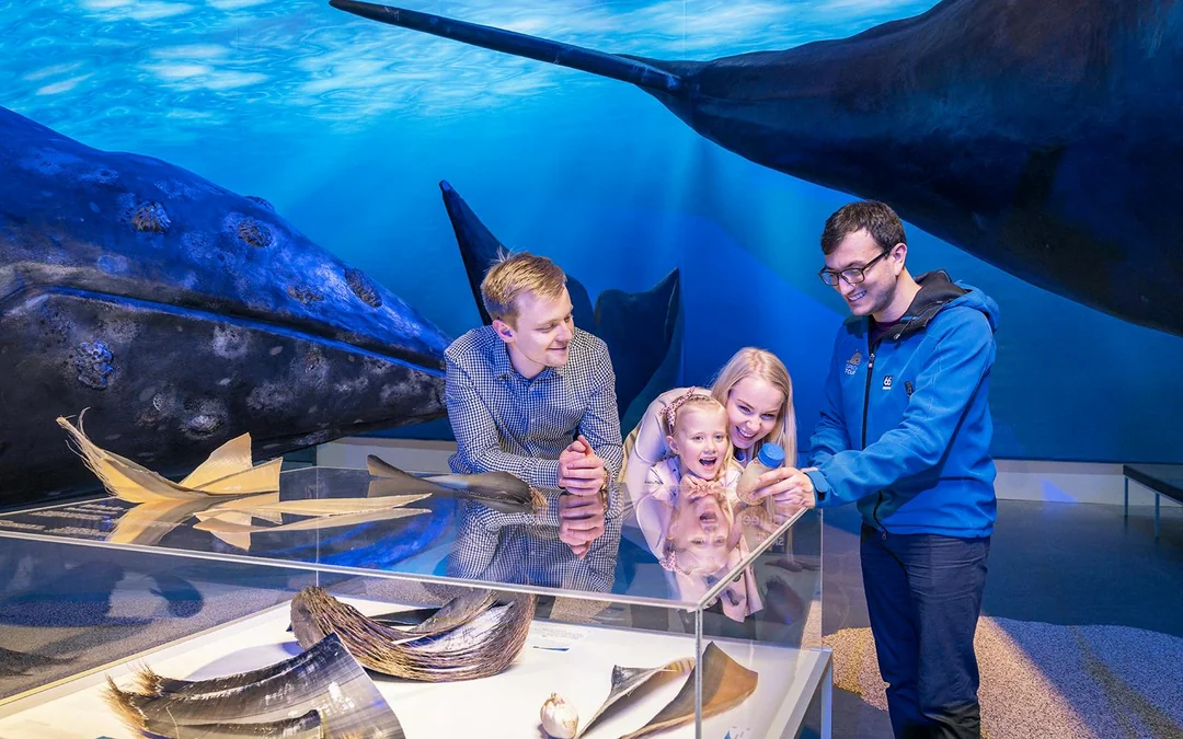 Tickets to Whales of Iceland Museum Image 5