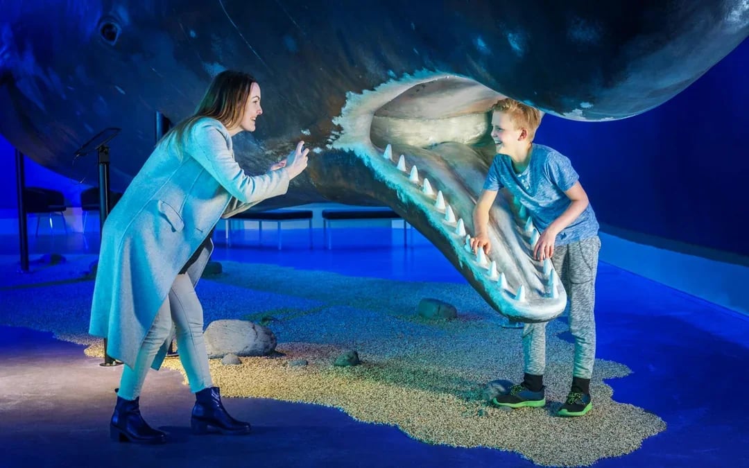 Tickets to Whales of Iceland Museum Image 6