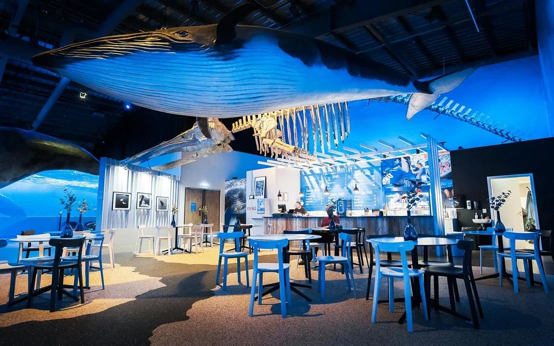 Tickets to Whales of Iceland Museum Image 7