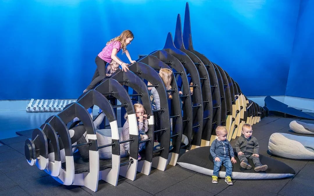 Tickets to Whales of Iceland Museum Image 8