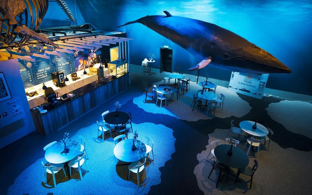 Tickets to Whales of Iceland Museum Image 10