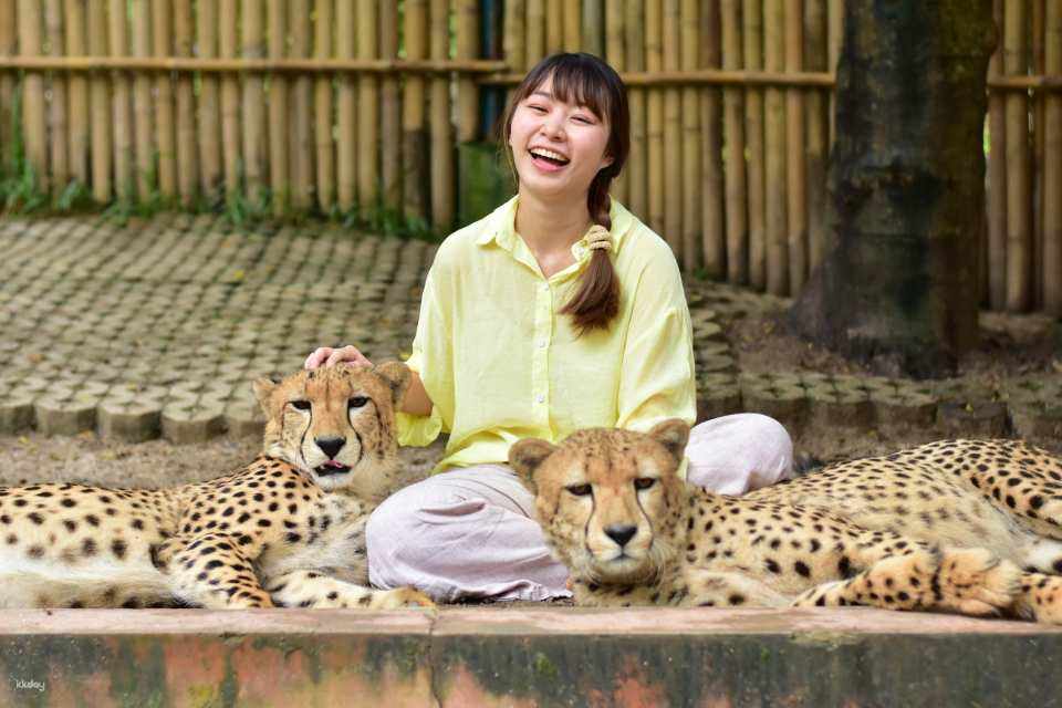 Tiger Kingdom in Chiang Mai | Thailand