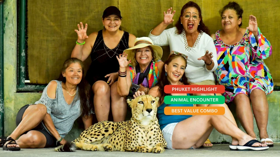 Tiger Kingdom Phuket Animal Encounter with Transfer Service | Thailand