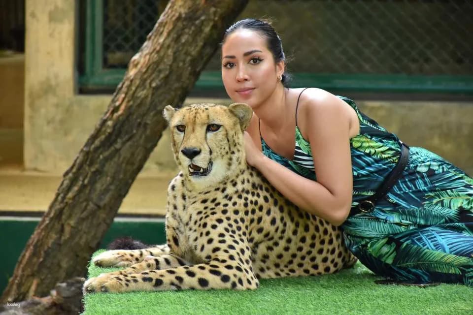 Tiger Kingdom Phuket Animal Encounter with Transfer Service | Thailand