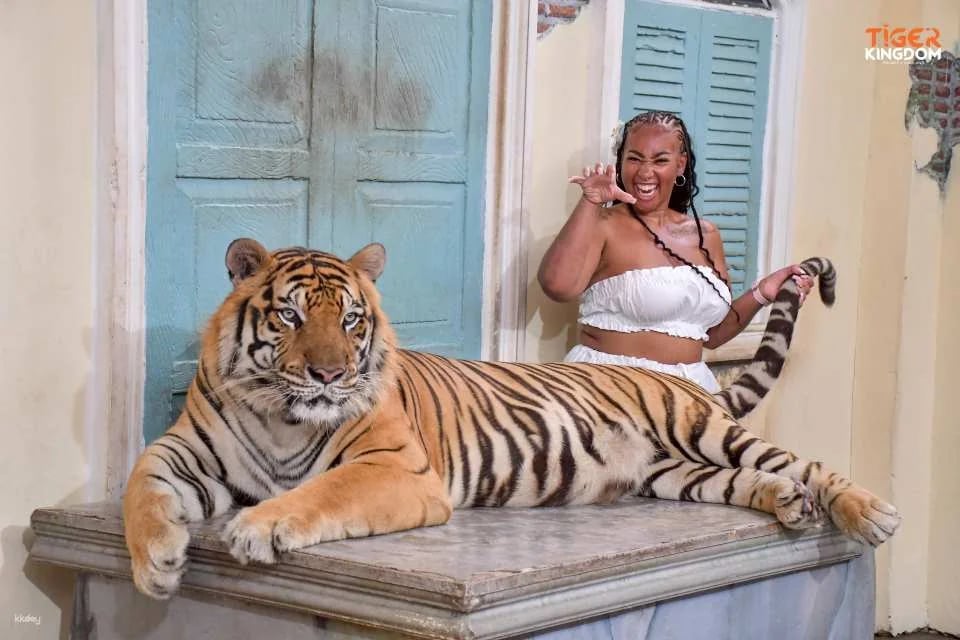 Tiger Kingdom Phuket Animal Encounter with Transfer Service | Thailand