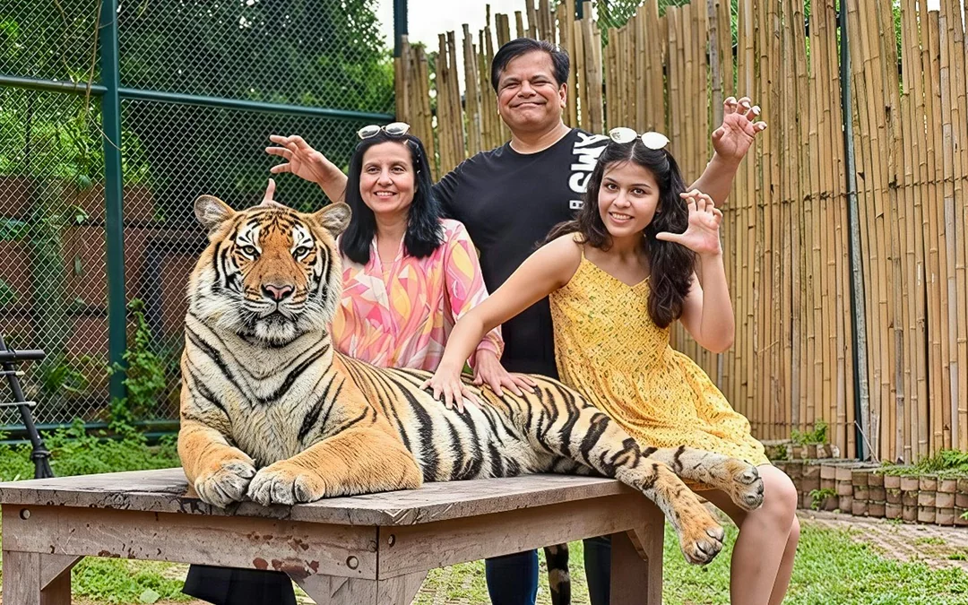 Tiger Kingdom Tickets with Tiger Play Packages Image 3