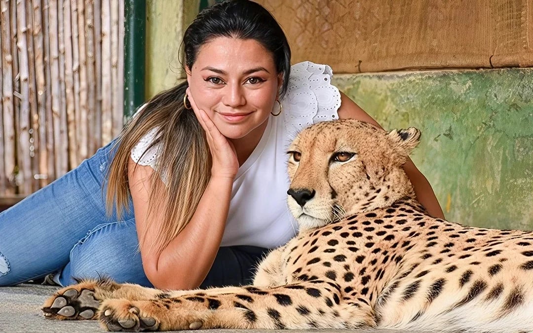Tiger Kingdom Tickets with Tiger Play Packages Image 7