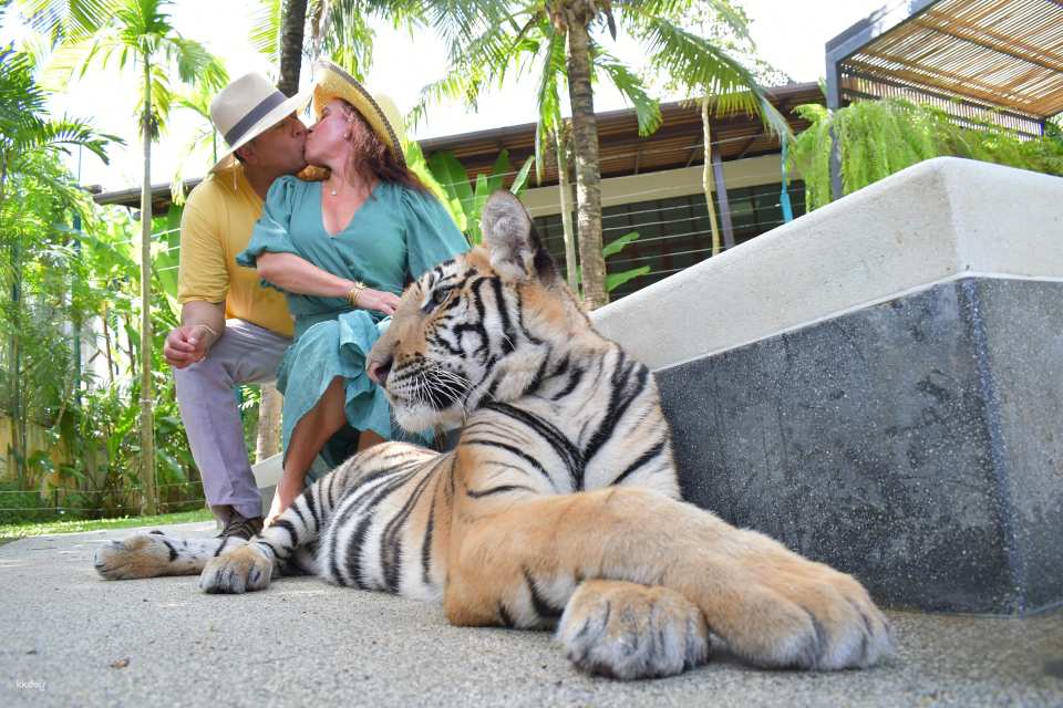 Tiger Park Big Buddha Phuket | Thailand