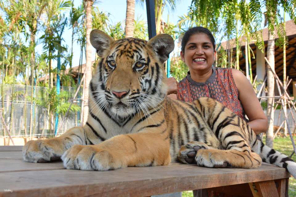 Tiger Park Big Buddha Phuket | Thailand
